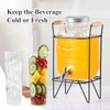 Fruit Infuser & Ice Cylinder for 1 Gallon Drink Dispensers,Compatible