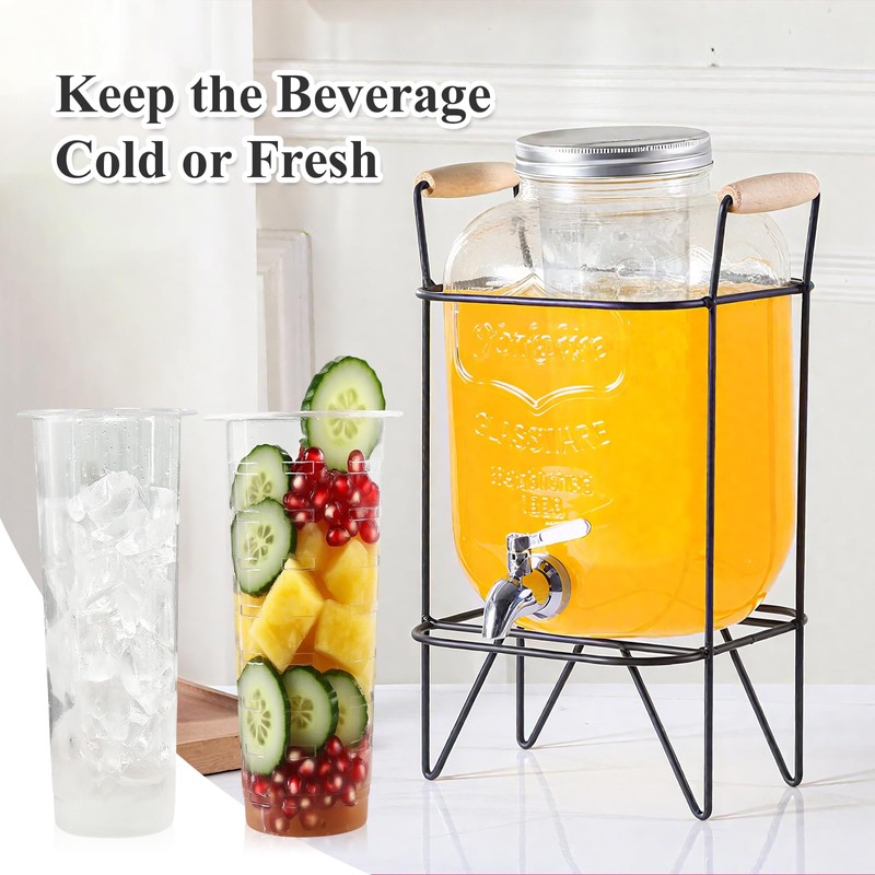 Fruit Infuser & Ice Cylinder for 1 Gallon Drink Dispensers,Compatible
