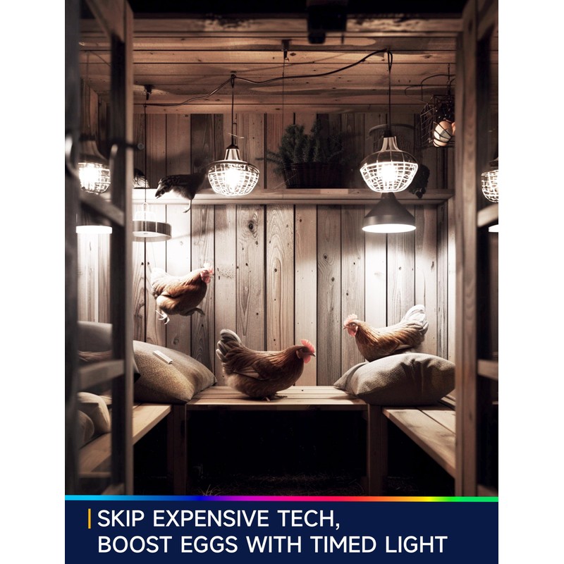 UNILAMP Timer LED Light Bulbs Indoor: 13W (100W Equivalent) LED