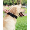 Joytale Tactical Dog Collar with Handle, Adjustable Heavy Duty Military