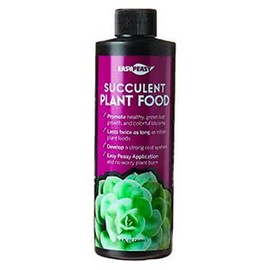 Succulent and Cacti Plant Food | Perfect for Indoor Gardening | Lasts 2X The Competition (Succulent16oz)