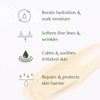 Botani Skin Care Olive Repair Cream, 120g
