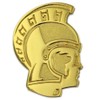 PinMart's Gold Chenille TROJAN Mascot Letterman's Jacket Lapel Pin