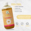 Shampoo De Manzanilla Kids Cero Lágrimas Productos Mart Mexico 500