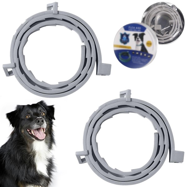 Pack of 2 Dog Collars, Collar for Dogs, Safe, Waterproof