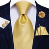 Hi-Tie Silk Men's Tie and Pocket Square Cufflinks Lapel Pin