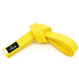 ChoCho Track Karate Belt Wide Double Wrap Martial Arts All Solid Color Belts Judo Hapkido (280Cm, Yellow)