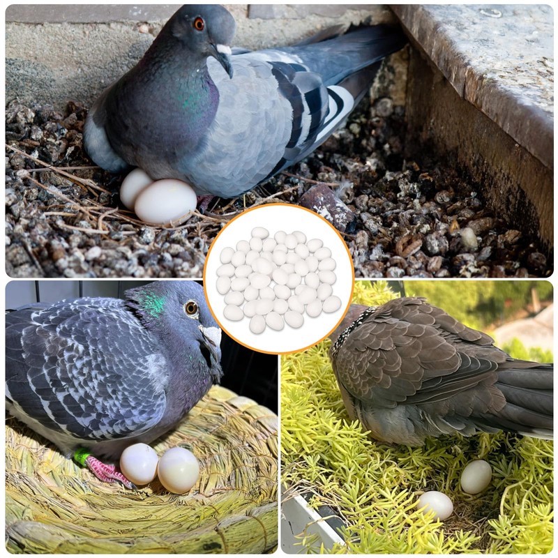 aleawol Pack of 50 Fake Pigeon Eggs, Solid Plastic Pigeon