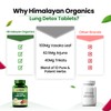 Himalayan Organics HIMALAYAN ORGANICS Organics Lung Detox | Cleanse Purify