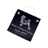 Slate board lions life, love, laughter – go for a