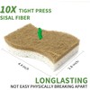 Biodegradable Natural Kitchen Sponge, Compostable Cellulose and Coconut Scrubber Eco-Friendly