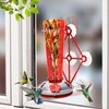 Window Hummingbird Feeder with 5 Strong Suction Cup 16 Ounces
