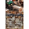 Desirable Chainsaw Blade Compatible with Makita 91PX-52E A-55653 (91VXL-52E) High