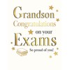 Regal Publishing Exam Congratulations Card, Grandson Congratulations on Your Exams