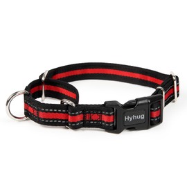 Hyhug Reflective Martingale Dog Collar with Buckle: Escape-Proof, No Slip Heavy Duty Nylon, Colorfast Adjustable Pet Supplies for Small Breeds (Reflective Red, Small)