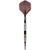Bull's Soft Darts Bull's Powered by Shot Darts Max Hopp