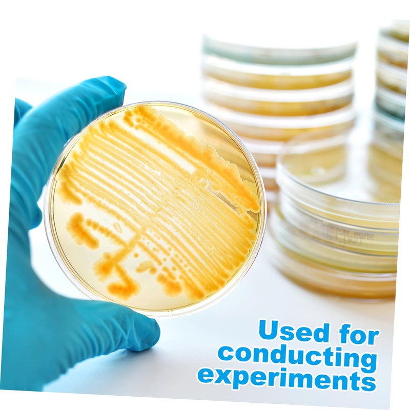 Ciieeo 10Pcs Pre Poured Nutrient Agar Petri Dishes for Science