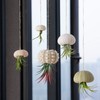 5 Pack Mini Sea Urchin Shell Hanging Pot- Decorative Hanging