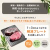 MRG Defrost Plate, Rapid Thawing Plate, 11.6 x 8.2 x