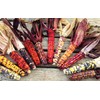 TomorrowSeeds - Painted Mountain Ornamental Corn (USDA Organic) Seeds -