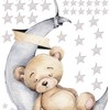 V300 Bear on the Moon Wall Sticker with Name of