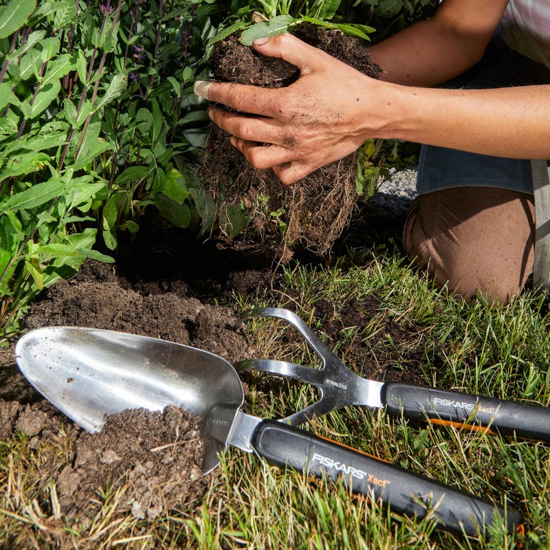 Fiskars Xact Hand Cultivator, Stainless Steel Weeder with SoftGrip Handle,