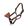 Professional's Choice Prairie Flower Leather Bronc Halter