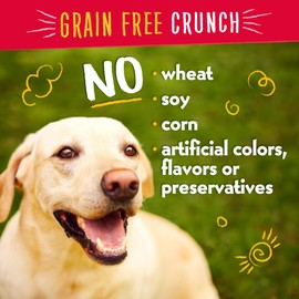 Charlee Bear Dog Treats Small Dogs Training Treats Crunchy Low Cal, Grain Free Dog Treats, USA, Puppy Training Treats (Bacon & Blueberry) 8oz, 4 Pack