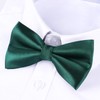 HISDERN Bow Tie Men's Already Tied Adjustable Bow Plain Paisley