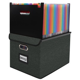 Vexalora File Organizer Box with Folder, 25 Pockets Accordion File Organizer with Colored Labels, Upgraded & Portable File Folders for Home, Office, School, Dark Grey
