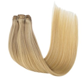 LIZ Hair Real Hair Clip in Extensions,Balayage Ash Brown to Champagne Blonde and Platinum Blonde Remy Human Hair Extensions Clip Ins 14 Inch 120g 7pcs Silk Straight Hair Extension