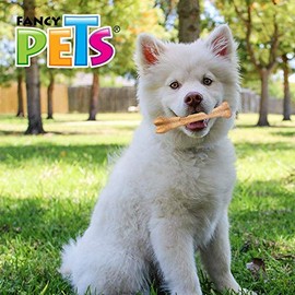 Fancy Pets Juguete Hueso Chico de Bambú Sabor Pollo para Perros 13 cm