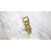 Ebros Gift Medium Gold Resin 3 Horned Rhinoceros Beetle Wall