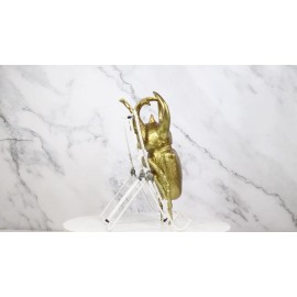 Ebros Gift Medium Gold Resin 3 Horned Rhinoceros Beetle Wall Decor Or Tabletop Figurine