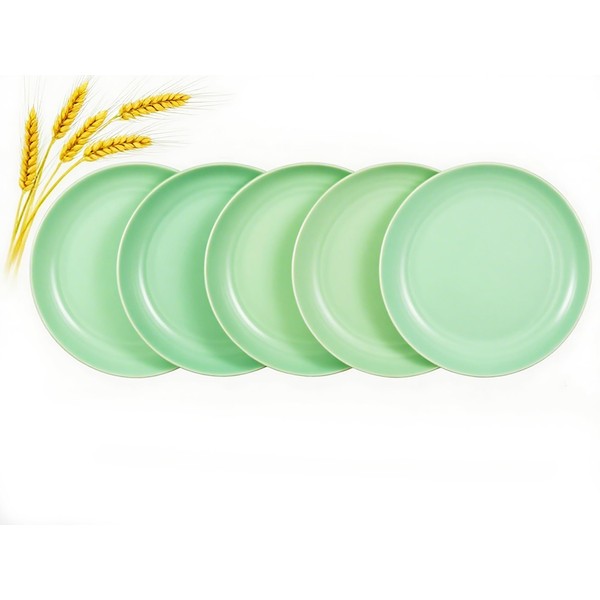 ZQtyf 7.8 Inch Wheat Straw Dinner Plates Set of 5,