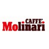 Caffe' Molinari Caffe Espresso Ricco Argento Espresso Coffee Beans 1Kg.