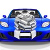 Mata1 Big Car Bow (Silver, 18 inch) Giant Gift Bows,