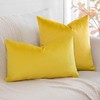 Artscope Velvet Cushion Cover Decorative Cushion Sofa Cushion Lumbar Cushion