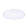 Paulmann HomeSpa Axin 78898 Ceiling Light IP44 260 mm Max.
