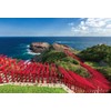 300 Piece Jigsaw Puzzle, Spectacular Torii Gate, Motonosumi Shrine (Yamaguchi),
