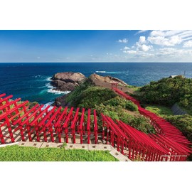 300 Piece Jigsaw Puzzle, Spectacular Torii Gate, Motonosumi Shrine (Yamaguchi), 10.2 x 15.0 inches (26 x 38 cm)