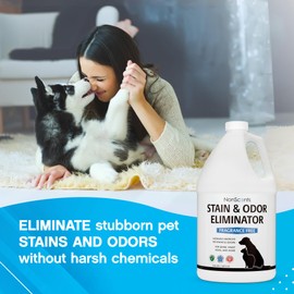 NonScents Stain & Odor Eliminator Spray for Strong Odor - 32 oz - Pet Odor Eliminator for Home - Carpet Stain Remover for Cats and Dog Pee - Cat Urine Destroyer - Carpet Cleaner Spray