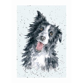 Wrendale Designs Greeting Card - BORDER COLLIE (Jess)