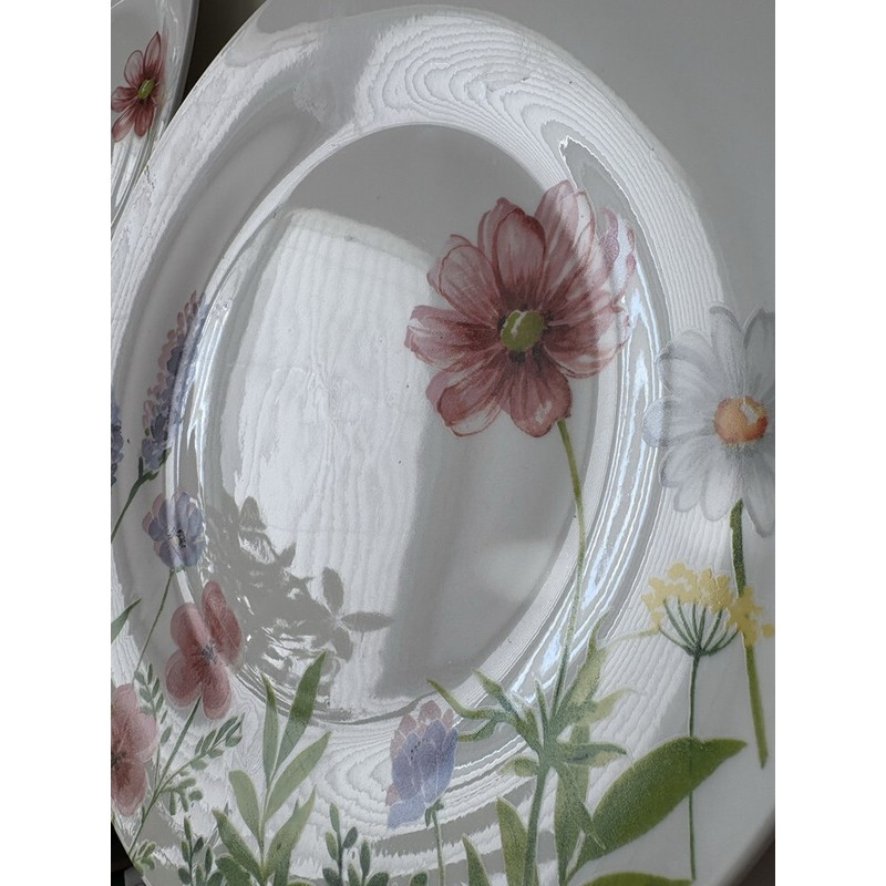 Royal Norfolk 6 Royal Norfolk 10.5" Dinner Plates Spring Wildflowers