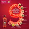 Navratna Ayurvedic Cool Oil | with 9 Active Herbal Ingredients
