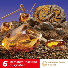EDUMAN Amber Excavation Set for Children, Fossils Digging Experiments for Children from 6 Years, Excavation Accessories, Toy Gifts for Boys Girls (Insects)