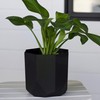 Bloem Tuxton Modern Hexagon Small Planter: 10" - Black -
