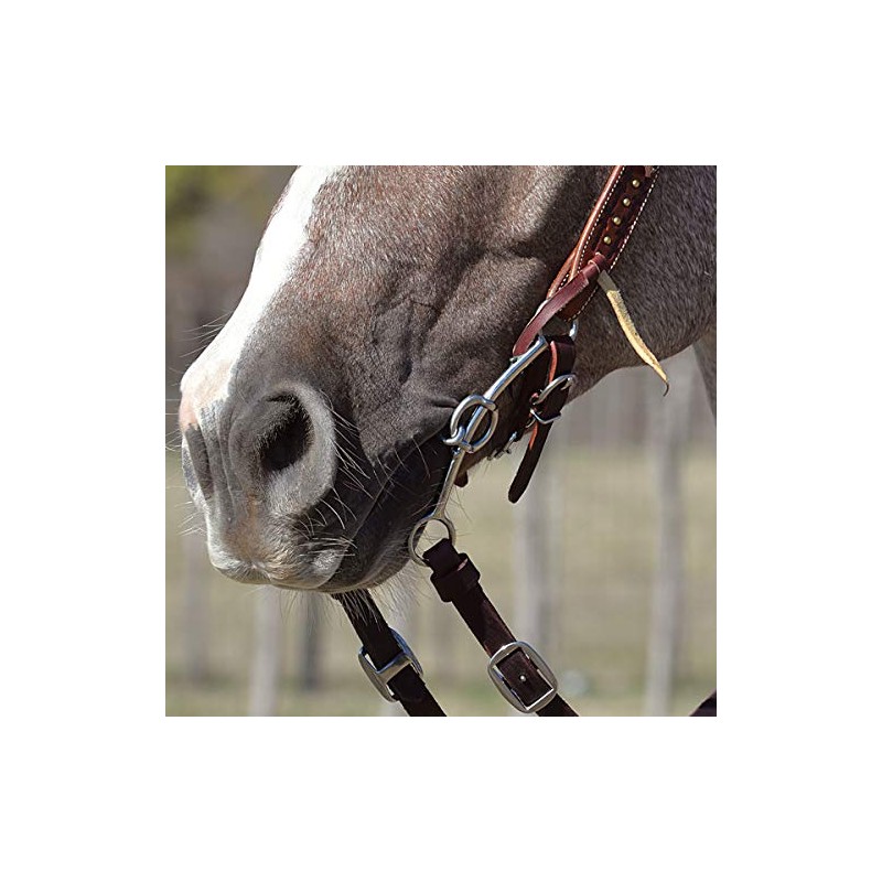 Classic Equine Carol Goostree Chain Long Double Gag Bit