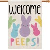 Decorhua: Double-Sided Vertical Welcome Easter House Flag - Bunny Banners Adorning Your Spring Yard in 28x40 Inches for Charming Outdoor Farmhouse Decoration (DF019-28)