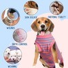 Dog Surgery Recovery Suit, Recovery Shirt for Male Female Dog